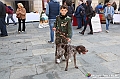 VBS_4223 - Fiera Nazionale del Tartufo Bianco 2024